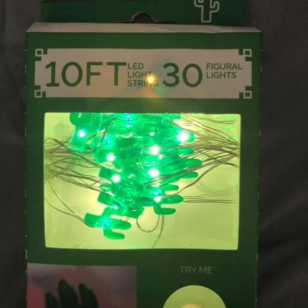 Cactus Twinkle Lights